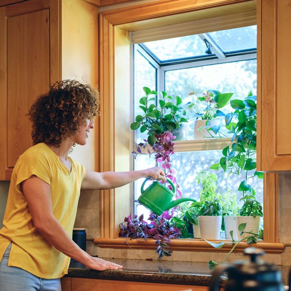 Women watering plant on kitchen garden window in Mechanicsburg, PA